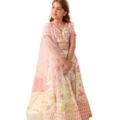 Lehenga Cholis