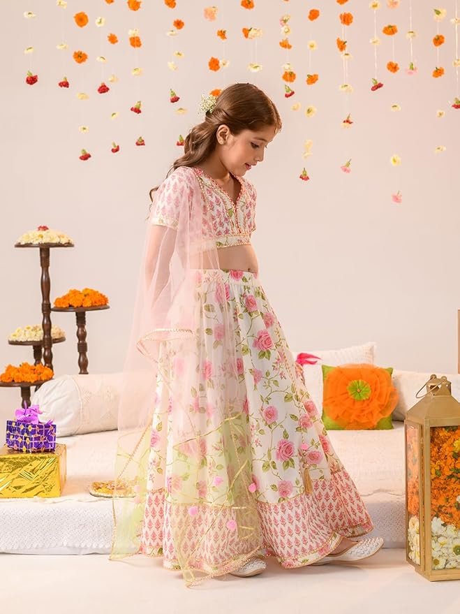 Lehenga Cholis - Image 3