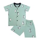 3BROS Baby Boys & Baby Girls Cotton Hosiery Clothing Set Half Sleeves T-shirt with Matching Pants (DB20HS6027_Parent)