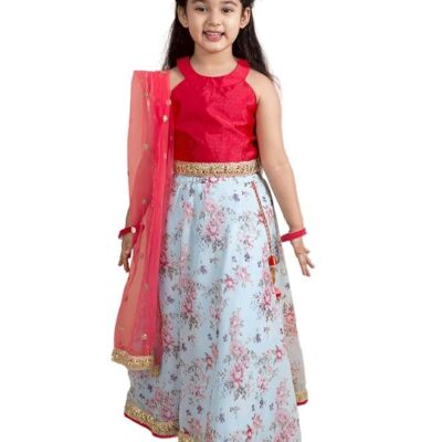 Lehenga Cholis