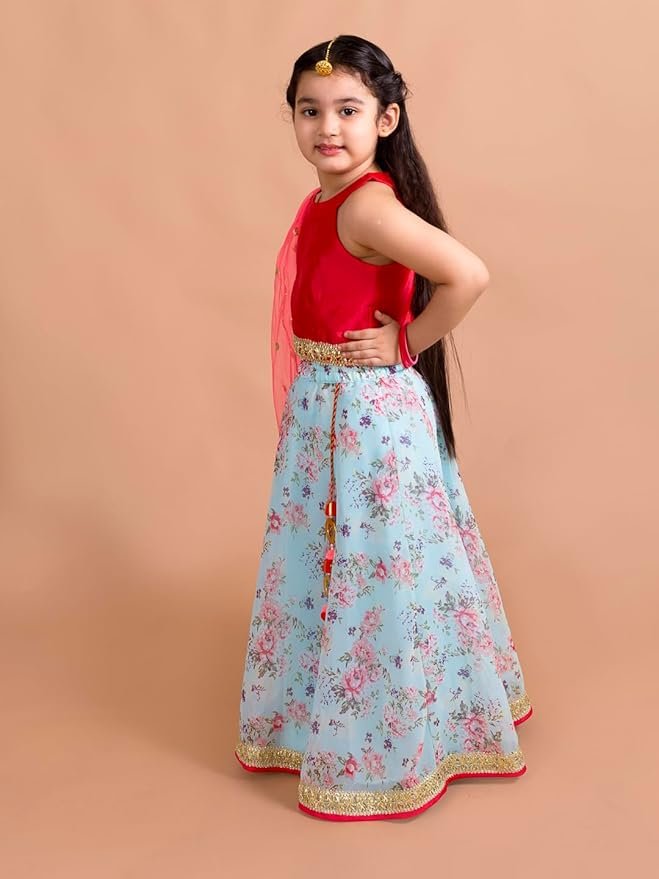 Lehenga Cholis - Image 2